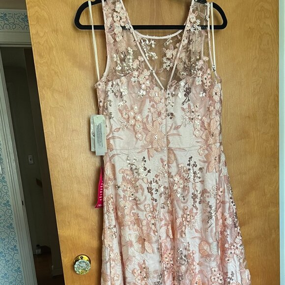 NWT! Blush-Colored Asymmetrical Formal Gown // Eliza J. Women's Size 14 - Picture 5 of 6